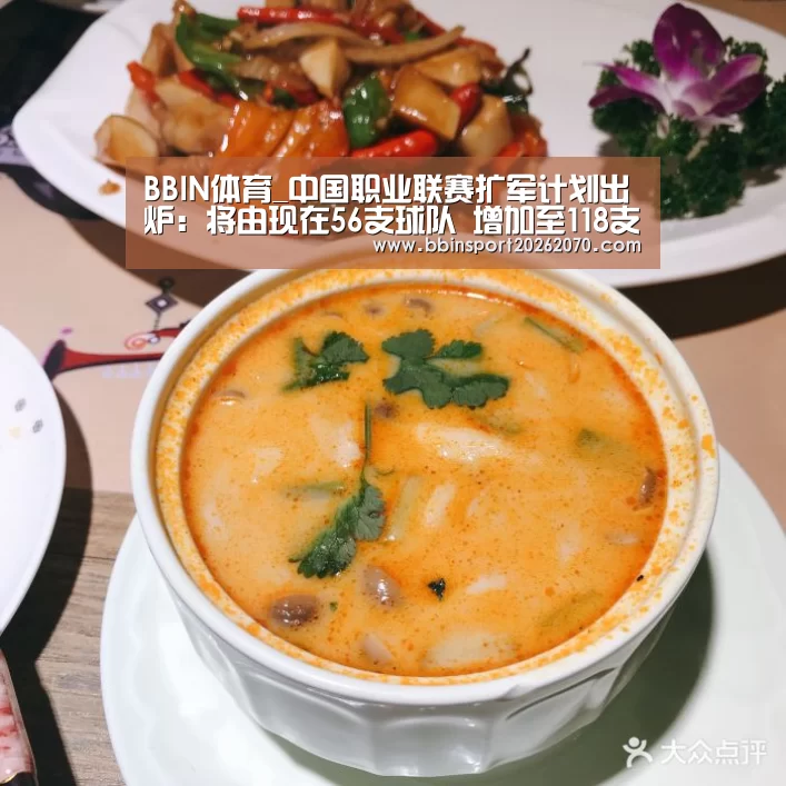 BBIN体育_中国职业联赛扩军计划出炉:将由现在56支球队 增加至118支(图3) BBIN下载