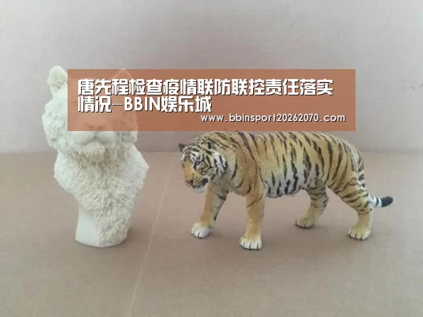 唐先程检查疫情联防联控责任落实情况-BBIN娱乐城(图2) BBIN娱乐城