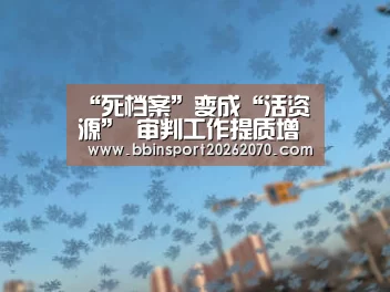 “死档案”变成“活资源” 审判工作提质增效‘BBIN下载’(图1) BBIN体育