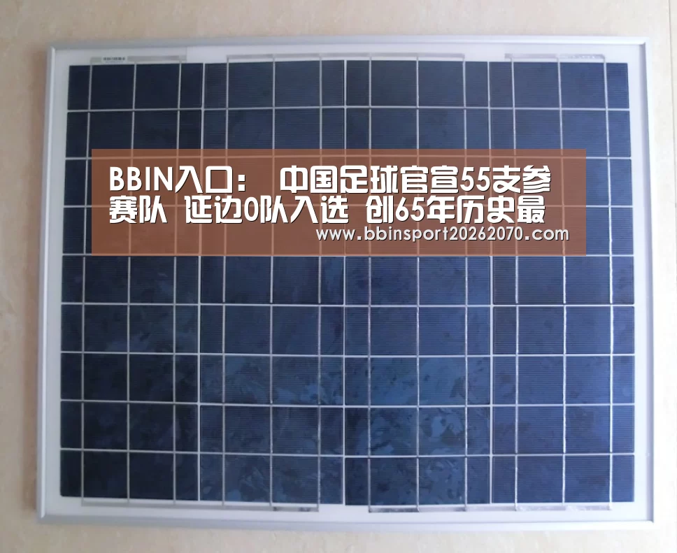 BBIN娱乐城